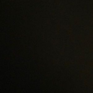 Meet your Posher, Maleah